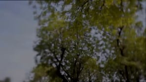 Vignette de la vidéo