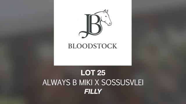 Lot 25