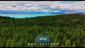 Related Embedded Video Item Thumbnail
