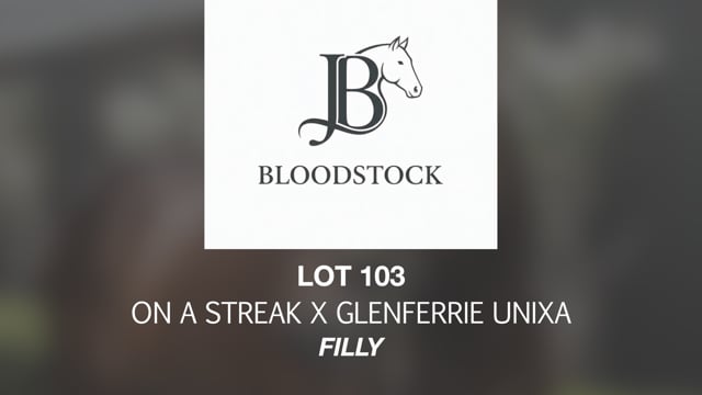 Lot 103