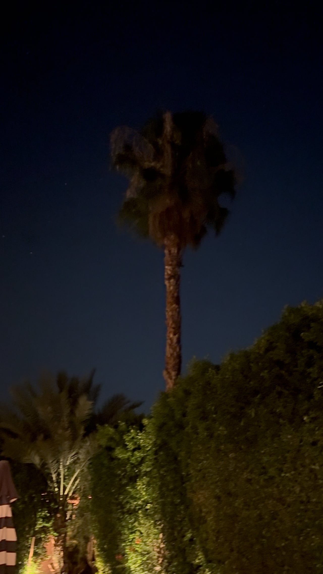 Preview of the original recording from La Quinta, California, June 11, 2025 · 9:45 p.m..