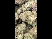 Chemdawg