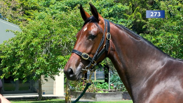 Lot 273