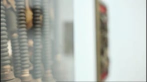 Vignette de la vidéo