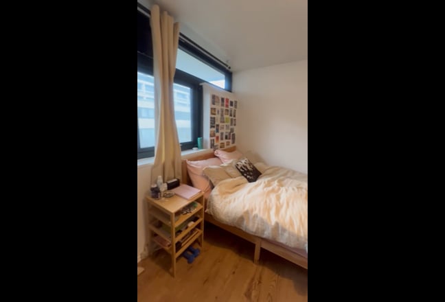 Female house, bright room near Kings Cross Camden Main Photo