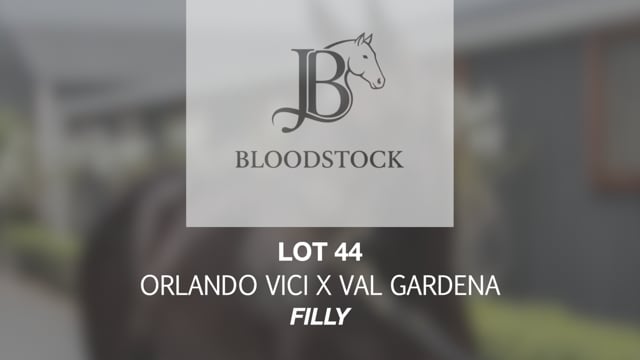 Lot 44