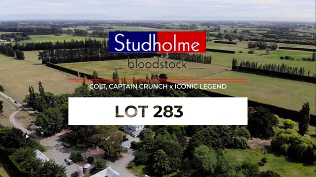 Lot 283