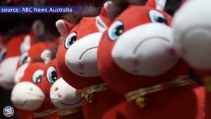 Stuffed Horse Has Upside Down Mouth