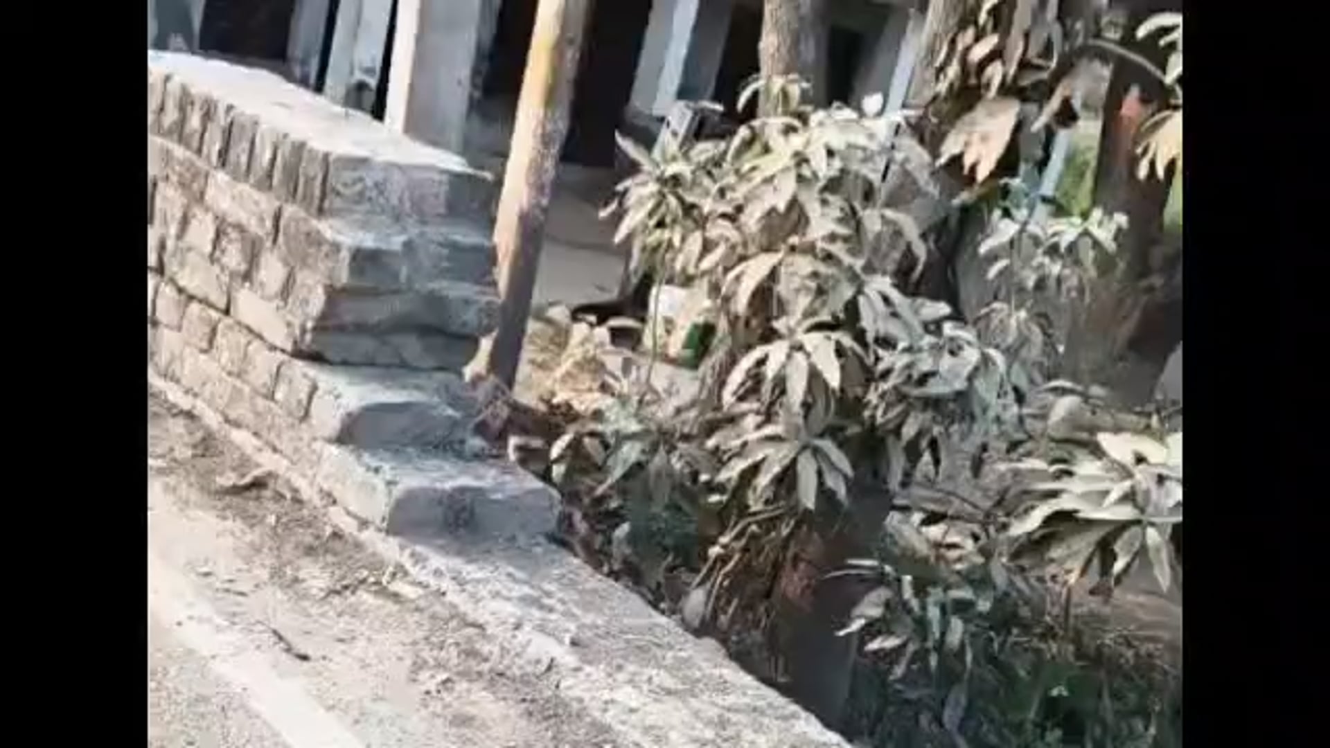 प्रतापगढ़ जिले की सभी बड़ी खबरें 06 फरवरी 2026