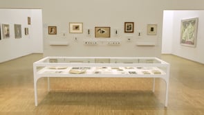 Vignette de la vidéo