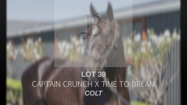 Lot 39