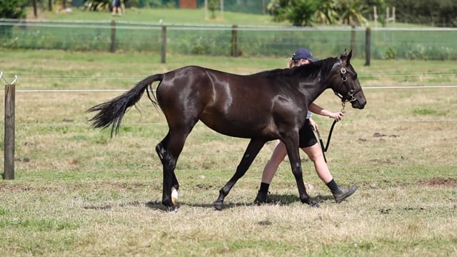 Lot 72