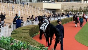 動画サムネイル