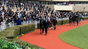 動画サムネイル