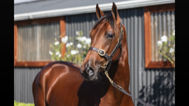 Lot 32