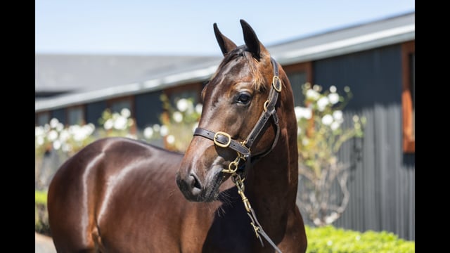 Lot 89
