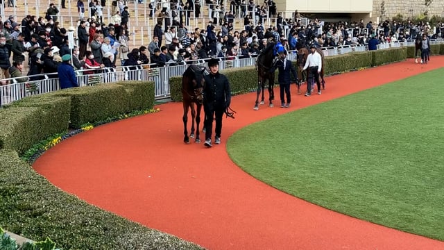 動画サムネイル