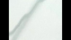 Vignette de la vidéo