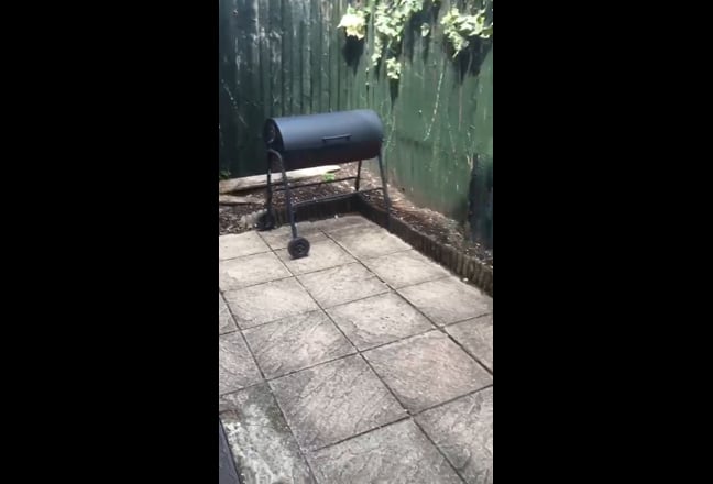 2db Garden Flat 10mins Colliers Wood/Tooting tube  Main Photo