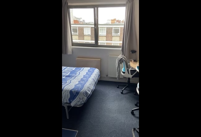 Comfortable Double STUDIO for Students from 29 Mar Main Photo