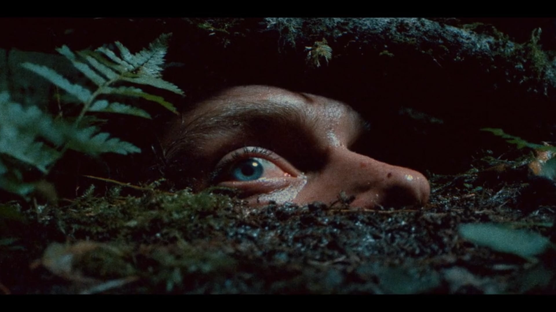 Nordskugg - Filmfestival Nightgrowth