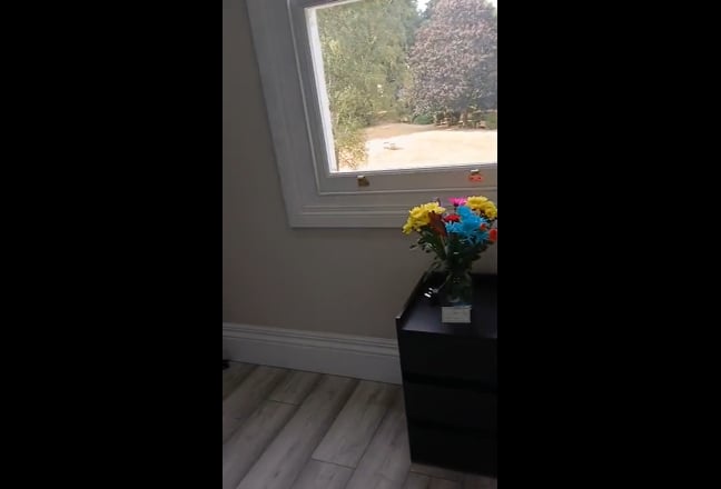 Renovated Garden View Studio Main Photo