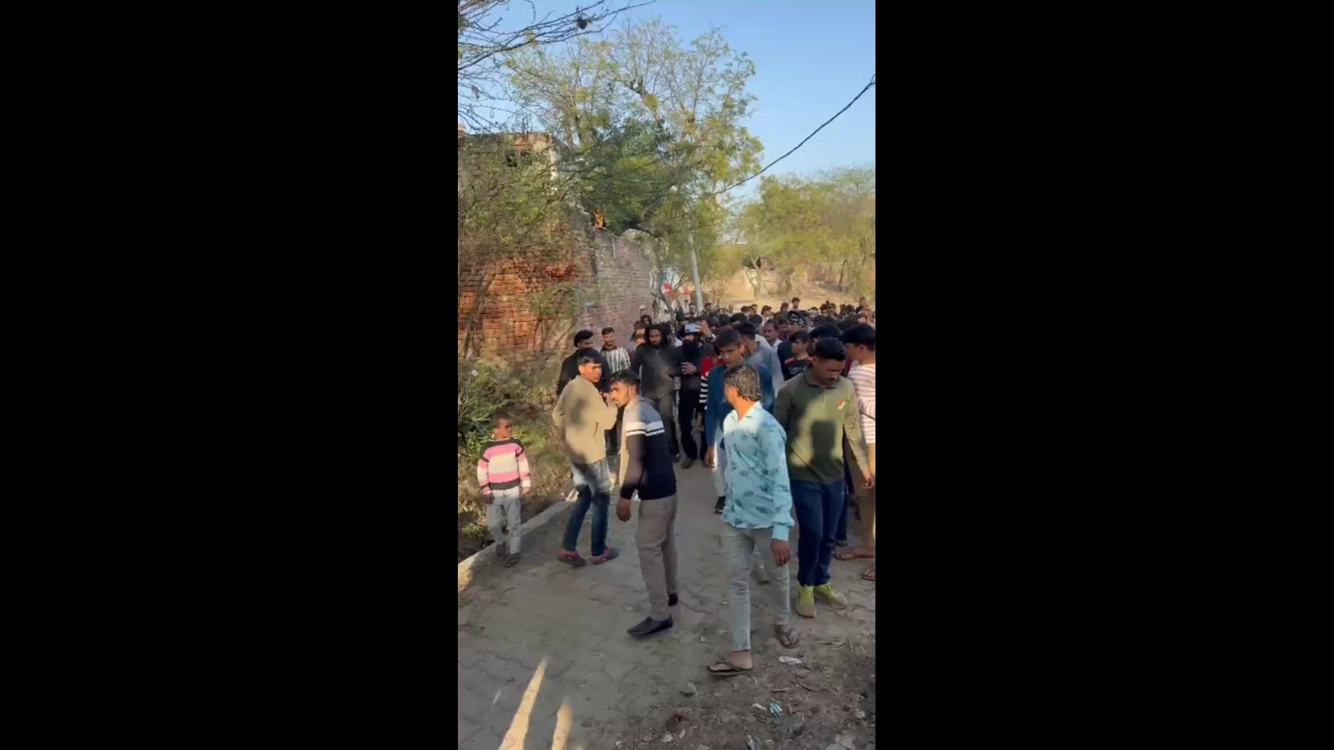 सभी गौ रक्षक दल आज DM कार्यालय हाथरस का घेराव किया गौ रक्षों के साथ जो अन्याय हो रहा है उसके लिए आवाज गौ रक्षों नेदमदारी