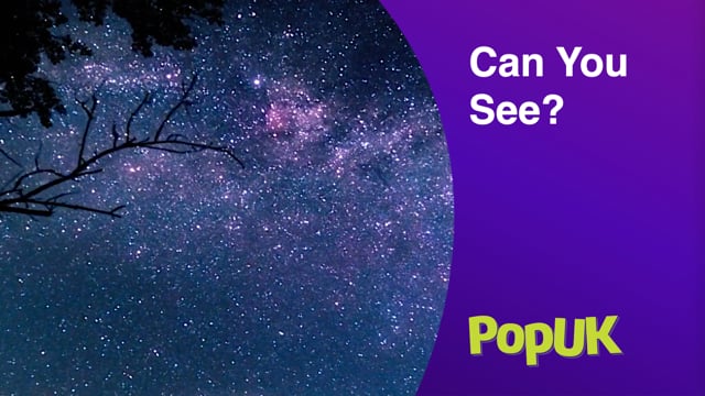 Taster: Can You See?