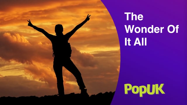 Taster: The Wonder Of It All