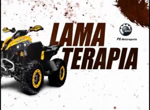 Lamaterapia – P6 Motorsports