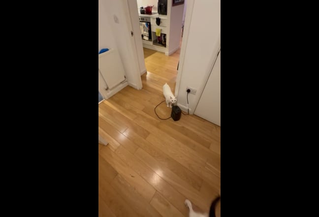 Dbl room available in friendly flat Main Photo