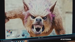 Related Embedded Video Item Thumbnail