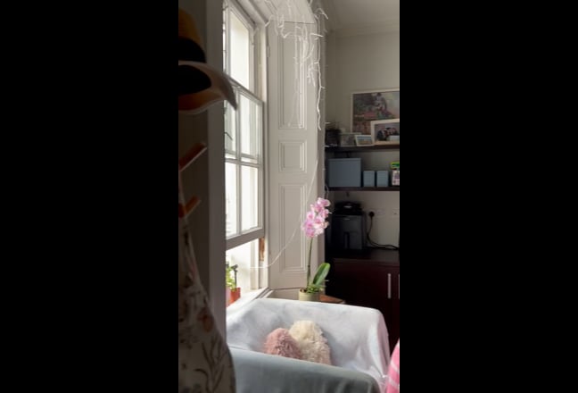 Very spacious studio in Clifton (including bills) Main Photo