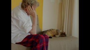 Vignette de la vidéo