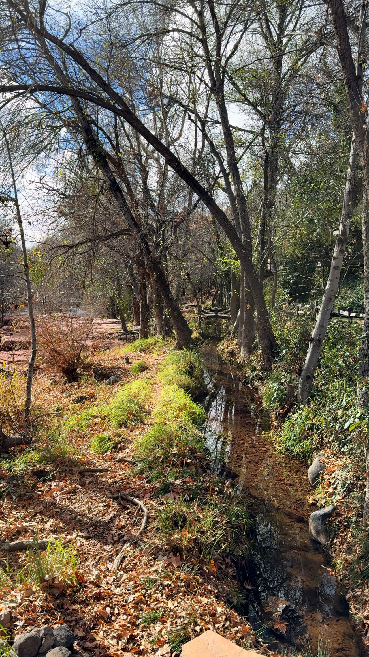 Preview of the original recording from Sedona, Arizona, December 26, 2025 · 12:42 p.m..