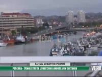 Pescara - 17enne stacca l’orecchio a morsi a un coetaneo