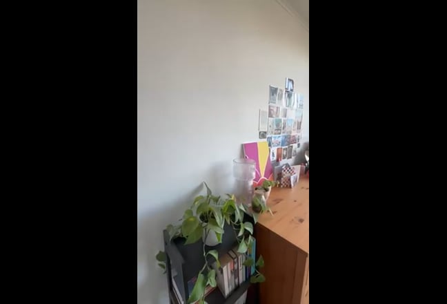 Room in 3-bed girls flat! Main Photo