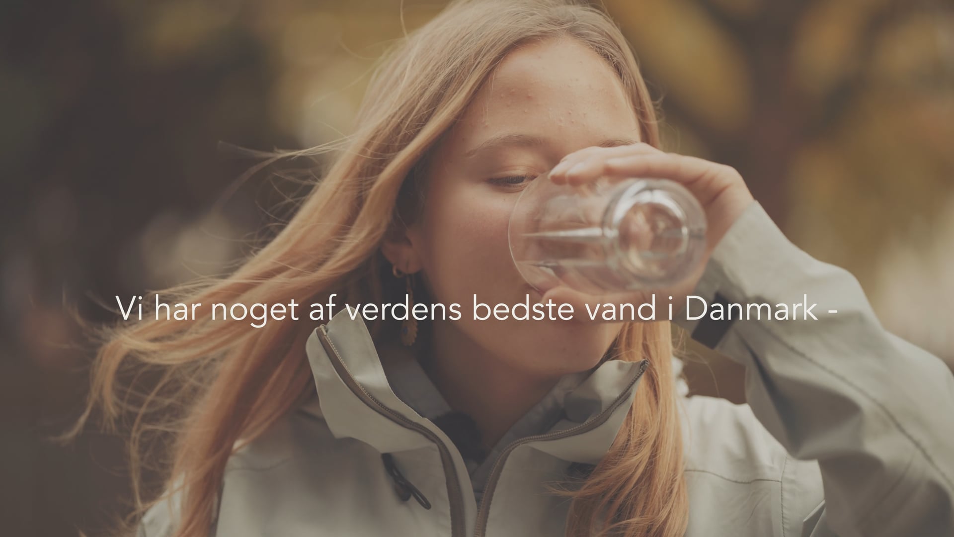 Danske Vandværker