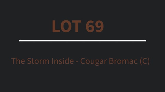Lot 69