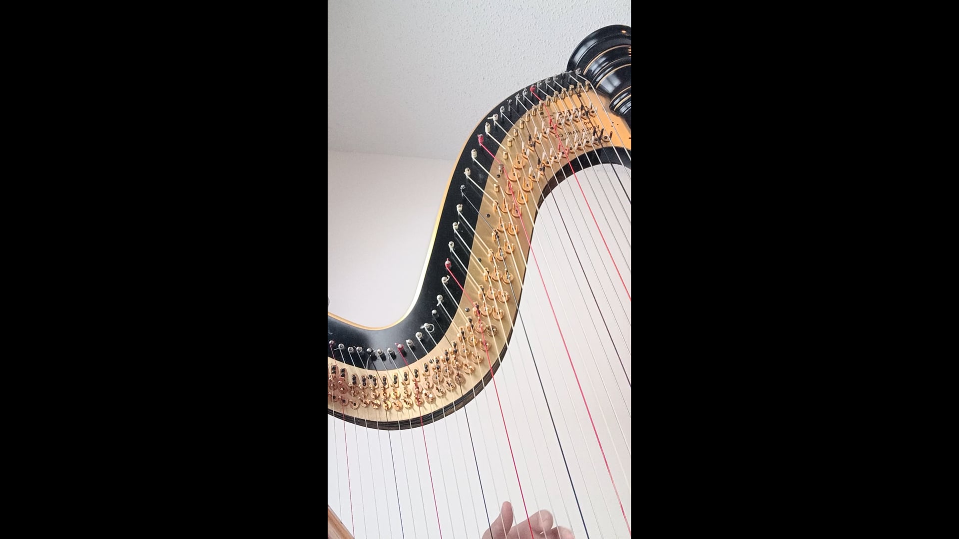 Promotional video thumbnail 1 for Upstate Harpist