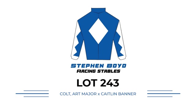 Lot 243