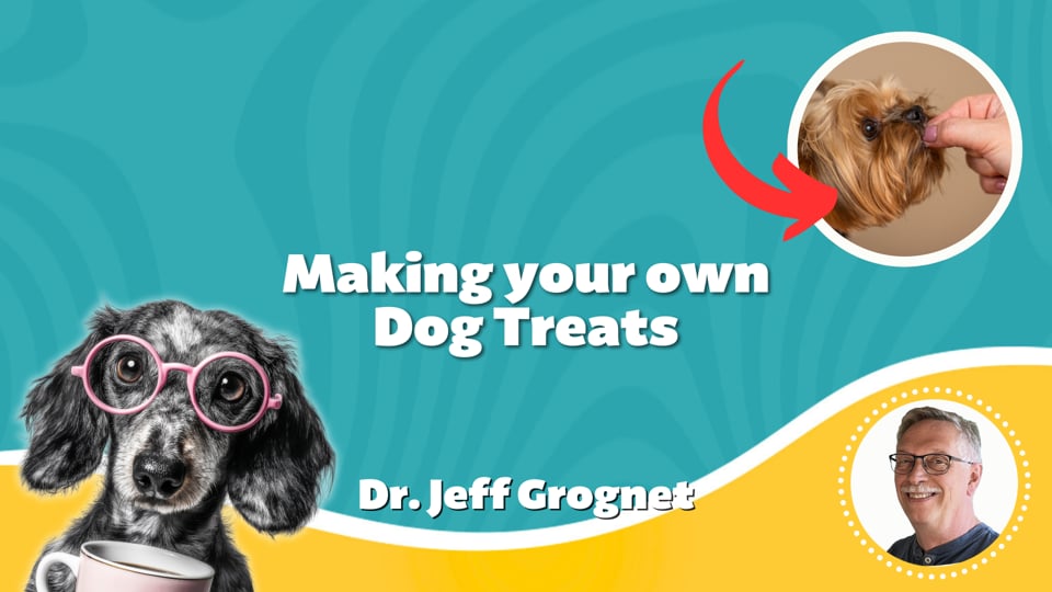 Making your own Dog Treats