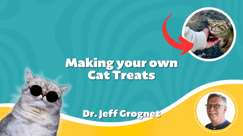 Making your own Cat Treats