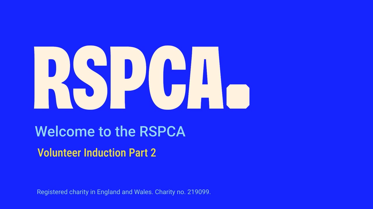 Final Volunteer Induction Video - Part 2  (2026).mp4 - Jess Hogan-Smith