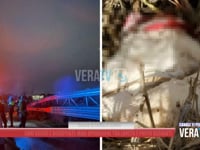 Cani uccisi e decapitati: maxi operazione tra Loreto e Porto Recanati