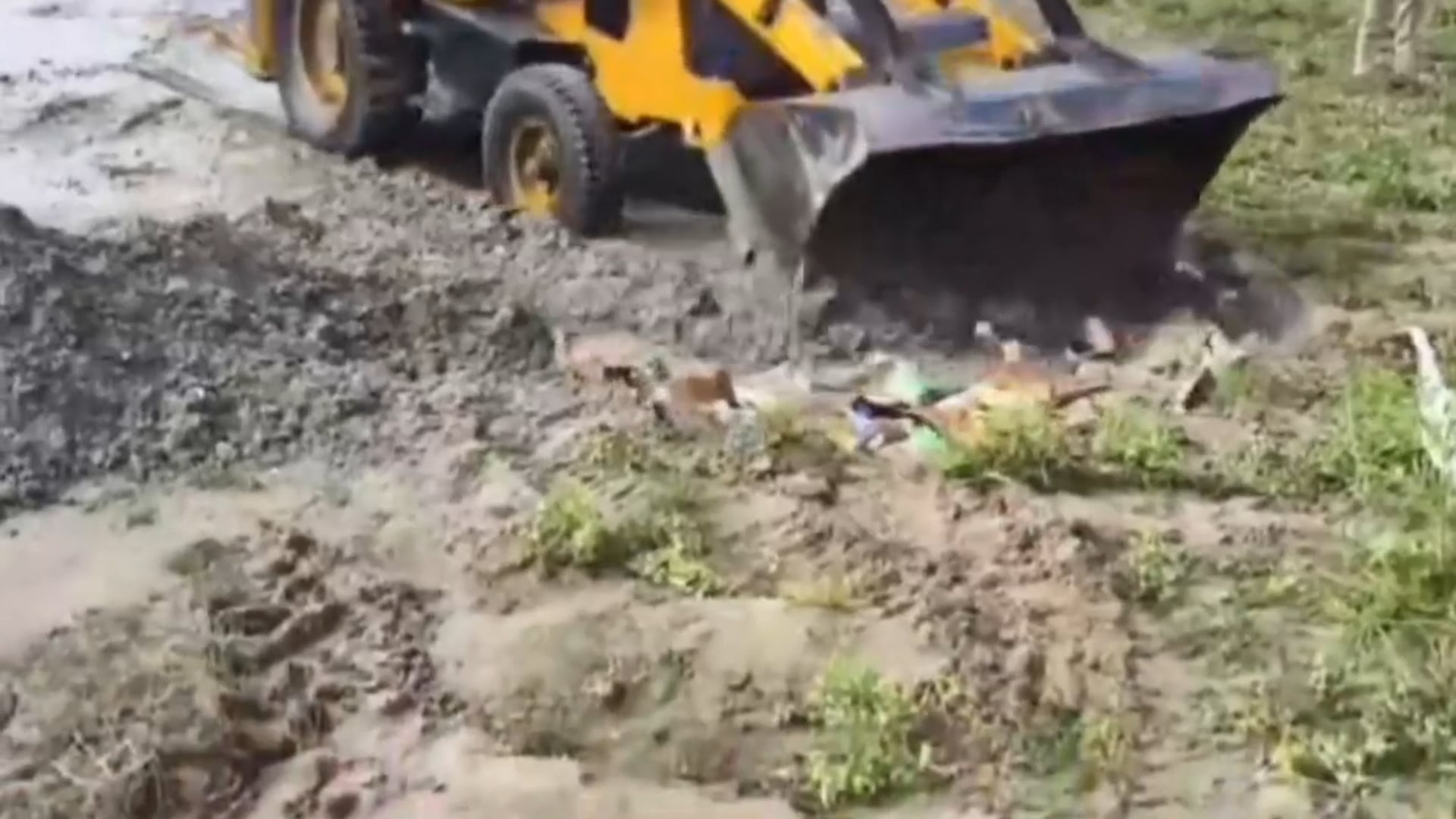 कलियर! पुलिस ने कोर्ट के आदेश पर अवैध रूप से संग्रहित पटाखों का  किया सुरक्षित विनष्टिकरण!