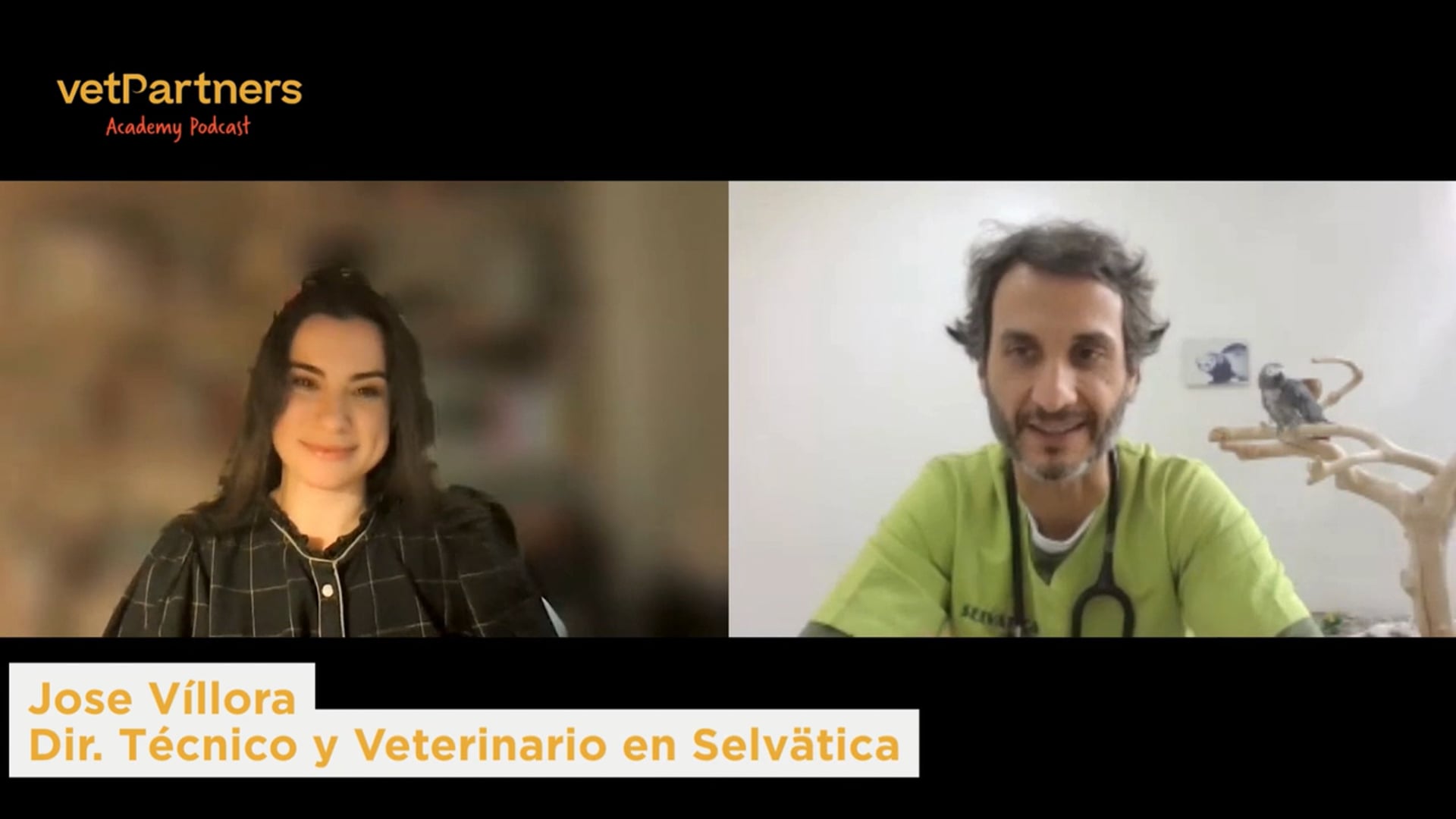 #4 MANEJO DE AVES EN CONSULTA - VetPartners Academy Podcast
