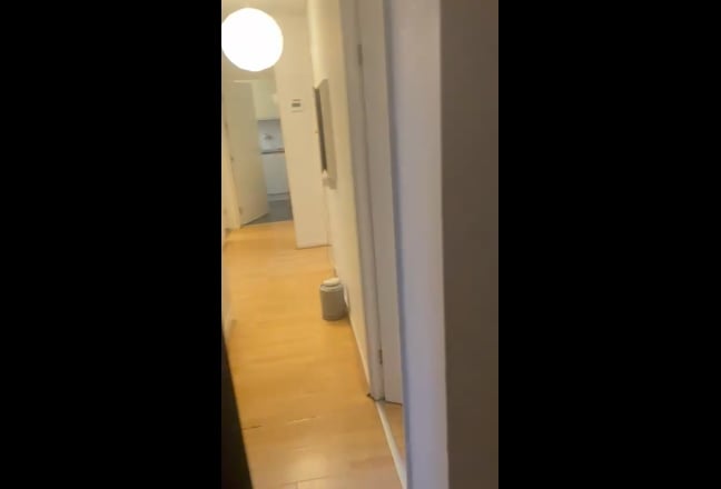 Central London, ideally female student Main Photo