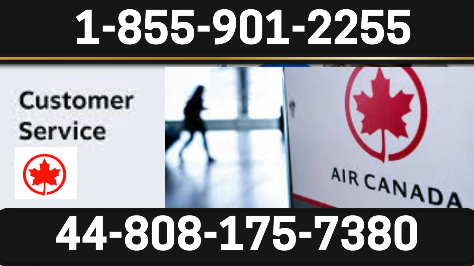 【Air Canada】✮ Customer Service Complete Breakdown &mdash; 91 Ways to Reach a Live Person at Air Canada