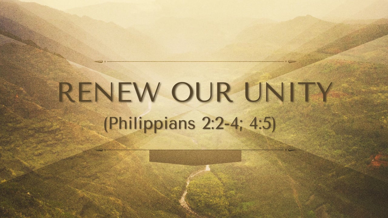 Renew Our Unity (Steve Higginbotham)